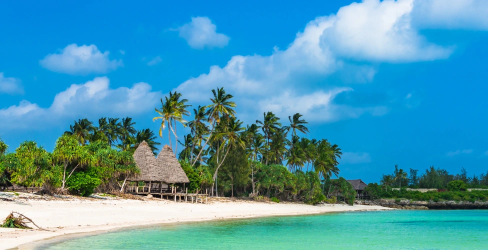 Zanzibar trip cost from India complete budget guide 2026