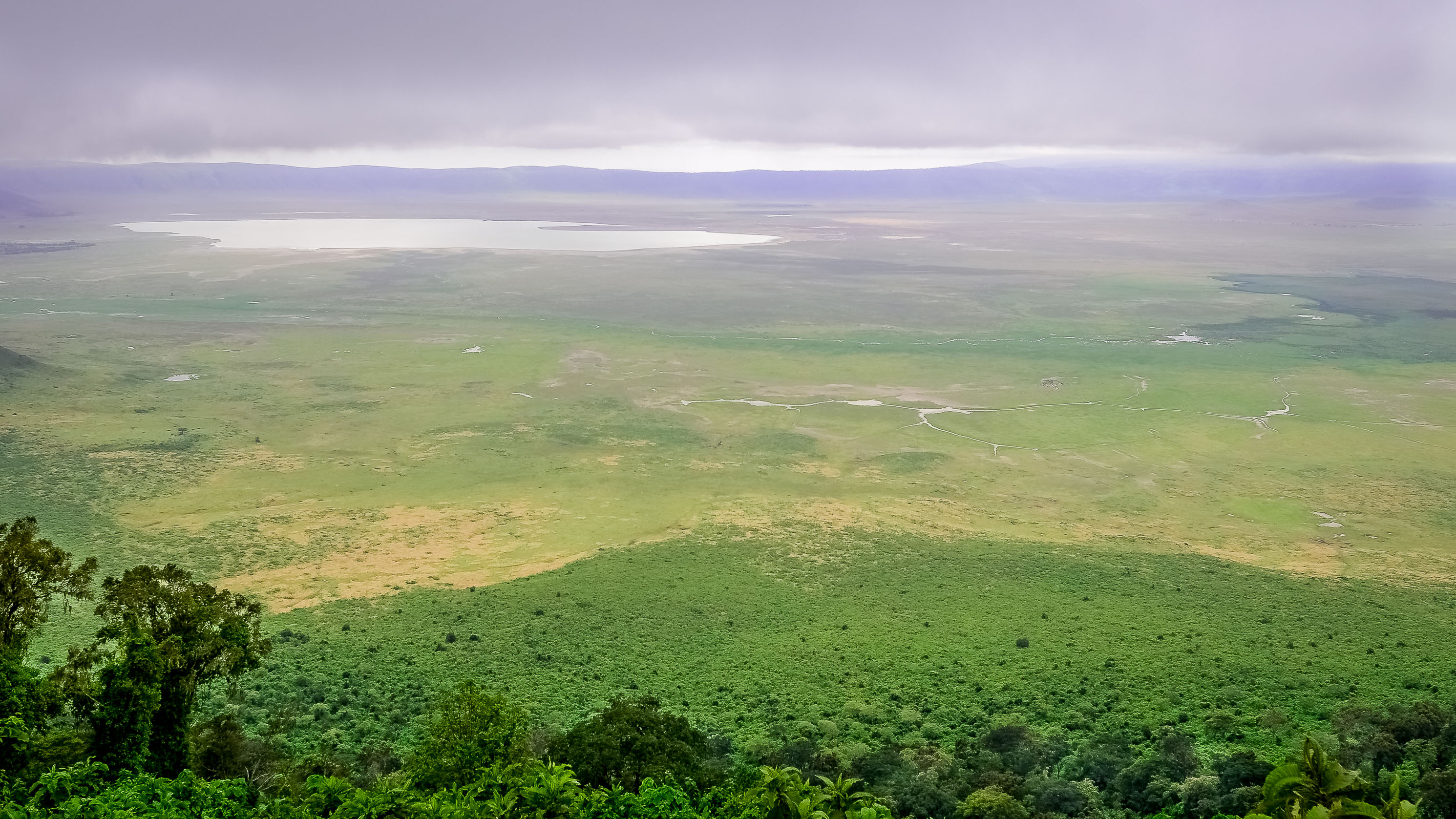 Ngorongoro Conservation Area 2026 crater floor wildlife lions buffaloes volcanic caldera Tanzania