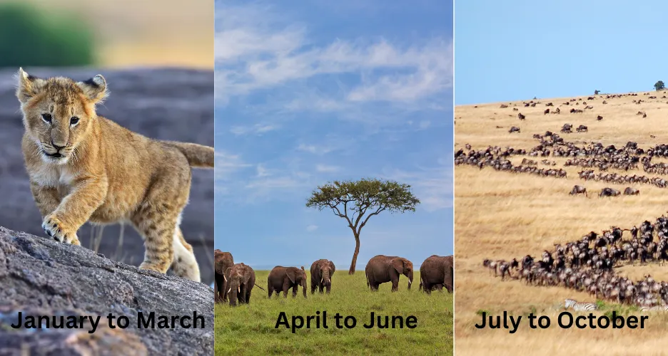 Best Time to Visit