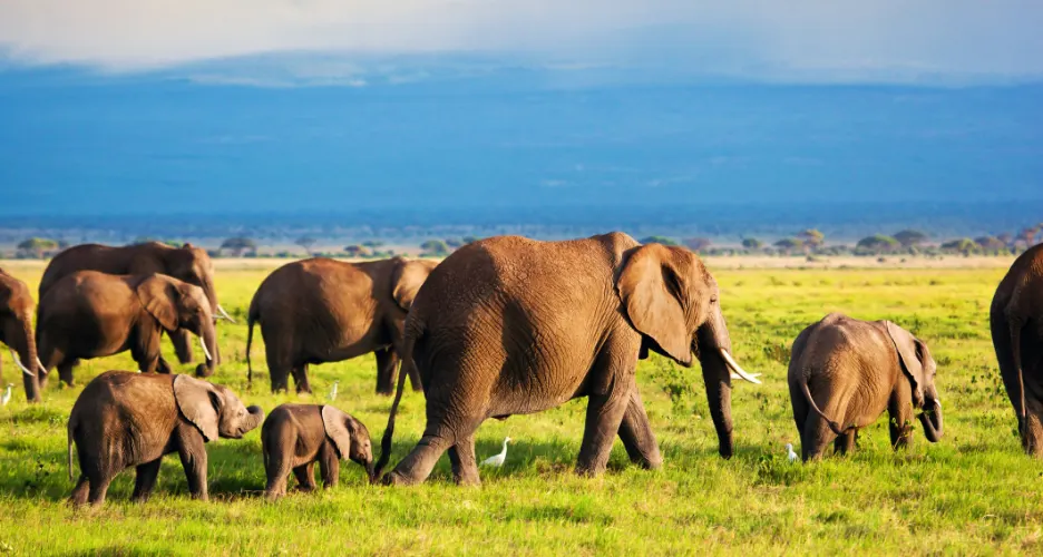 Big Five