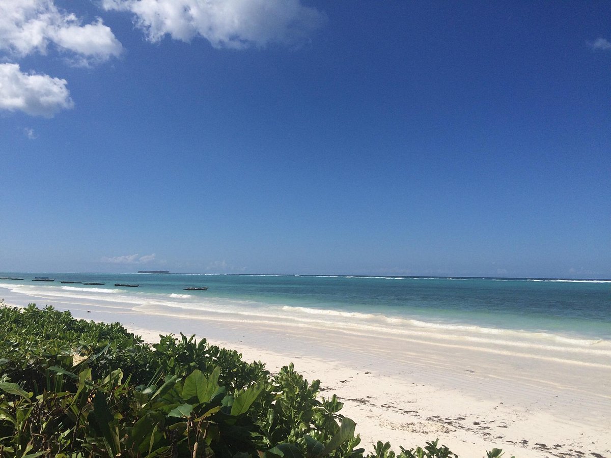 Matemwe beach Zanzibar 2026 — northeast coast Mnemba Atoll snorkelling diving