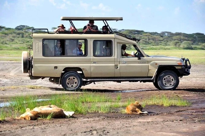 Nairobi to Masai Mara Transfer Options
