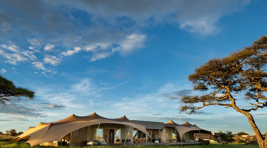 Namiri Plains Serengeti — eastern plains big cat cheetah predator safari camp