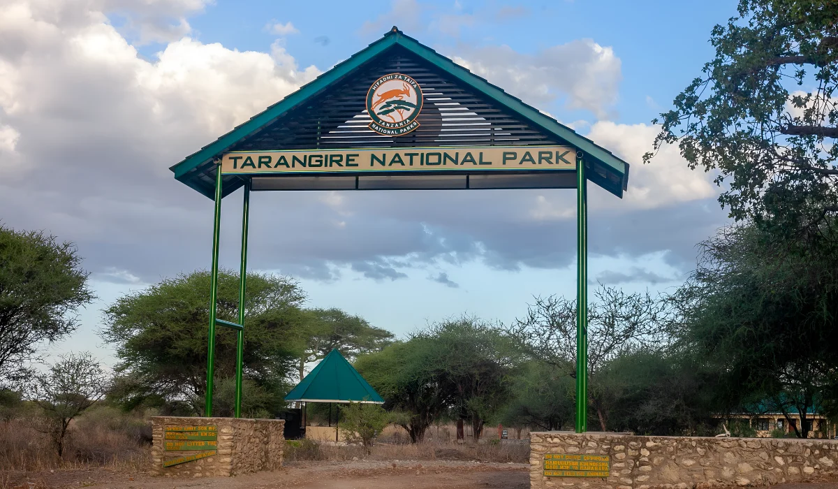 Tarangire National Park 2026 elephant herd ancient baobab trees dry season river safari