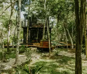Authentic safari atmosphere over indulgent luxury