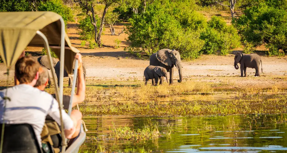 Anniversary & Honeymoon Safari