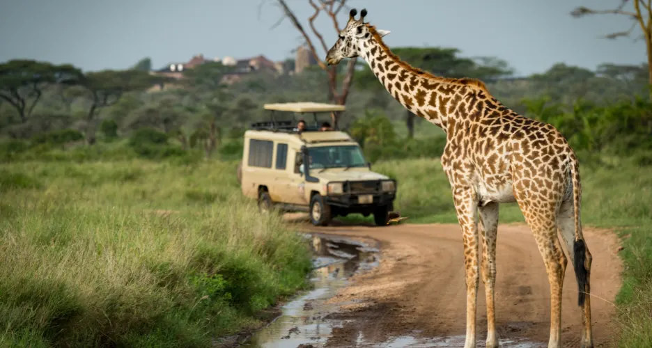 Private Jeep Safari