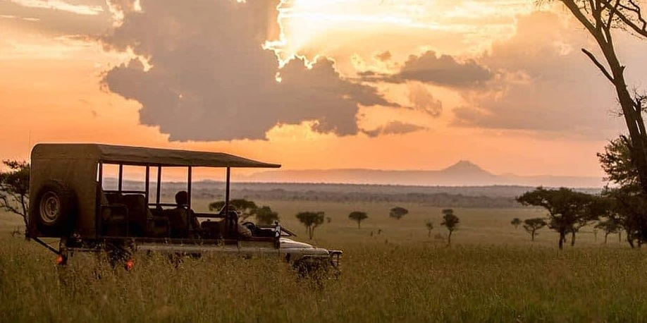 Serengeti sunrise game drive golden light safari vehicle