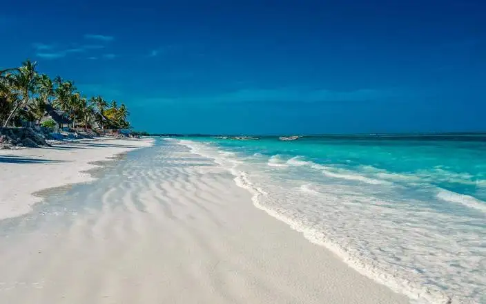Luxury Safari & Beach Retreat