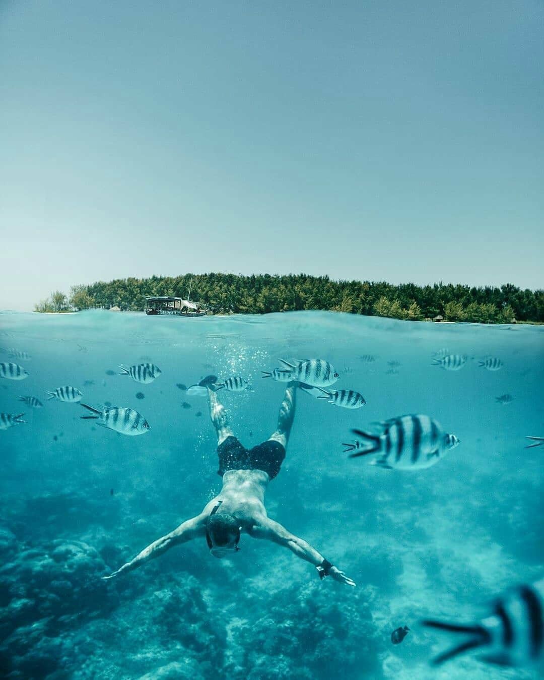 Mnemba Atoll snorkelling sea turtle Zanzibar