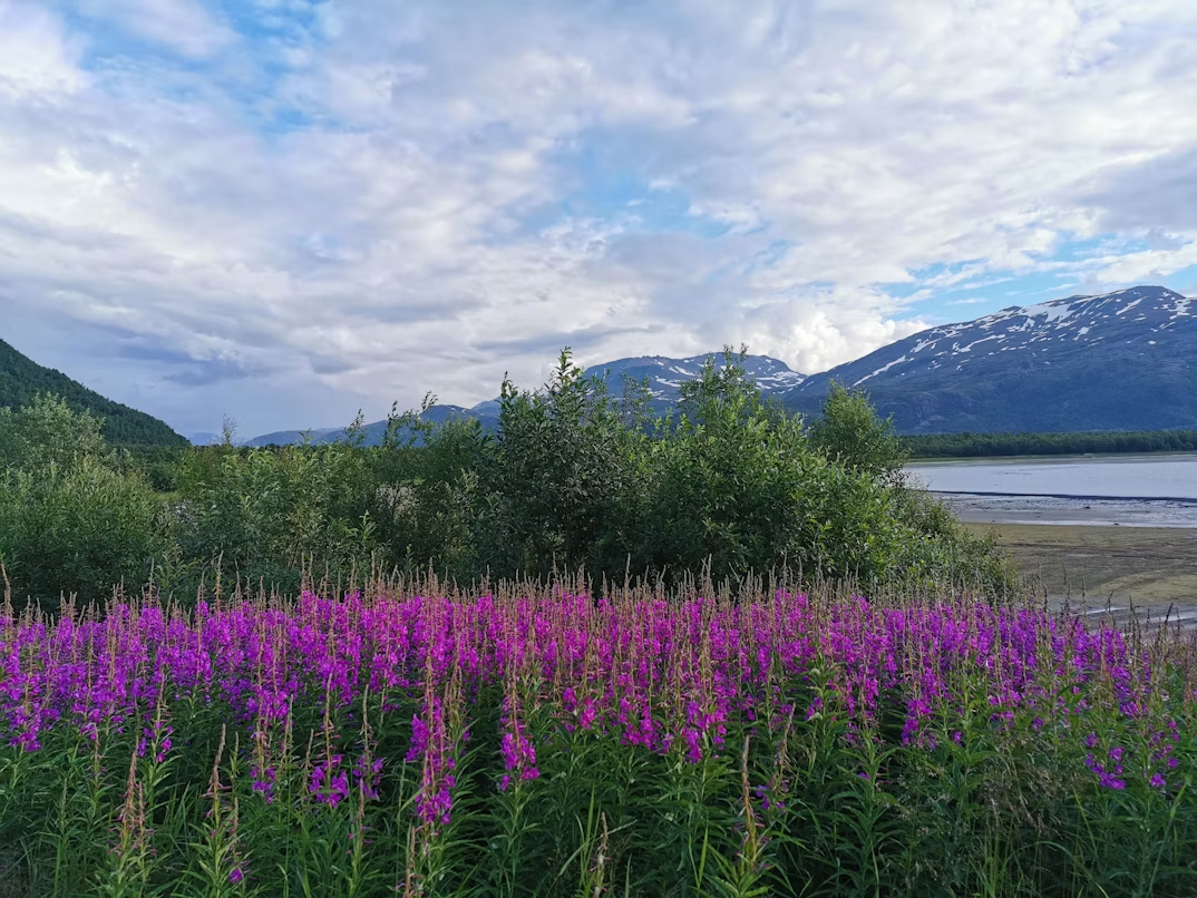 Luxury Norway summer itinerary with private transfers