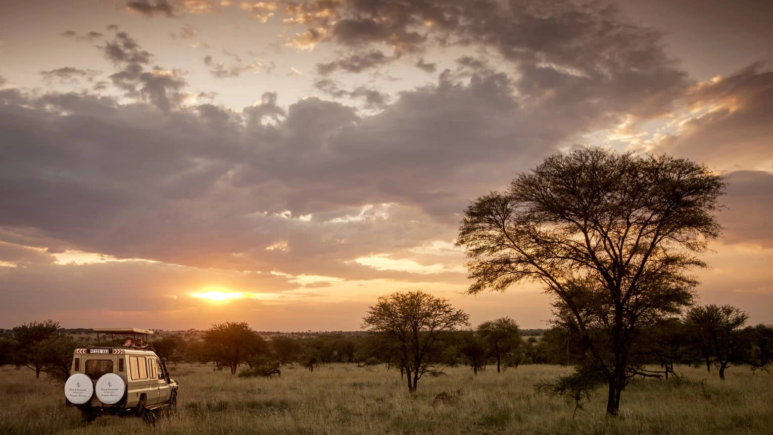 Serengeti sunset game drive