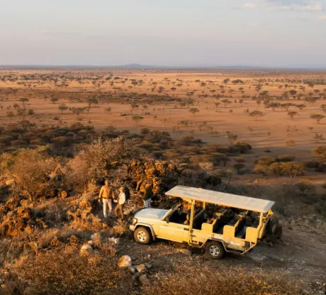 Luxury Masai Mara safari experience
