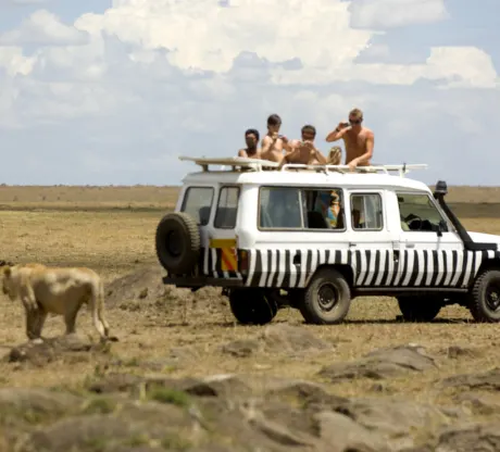 Masai Mara Wildlife