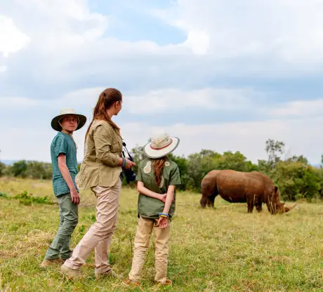 Luxury safari sunset experience