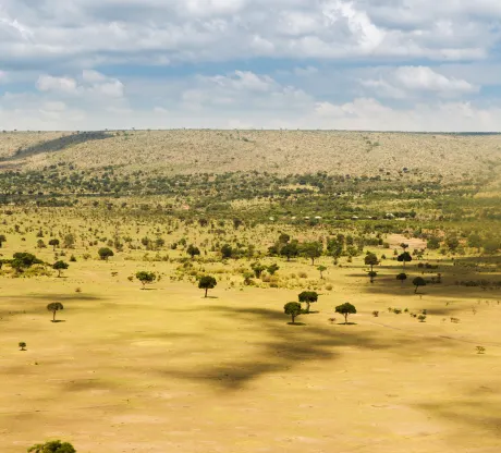 Hot air balloon safari VIP