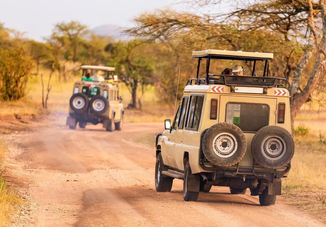 Classic Tanzania safari tour with 4x4 vehicle and wildlife