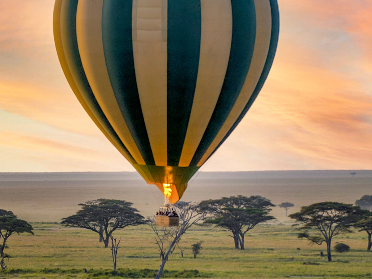 Hot air balloon safari sunrise Serengeti plains aerial view