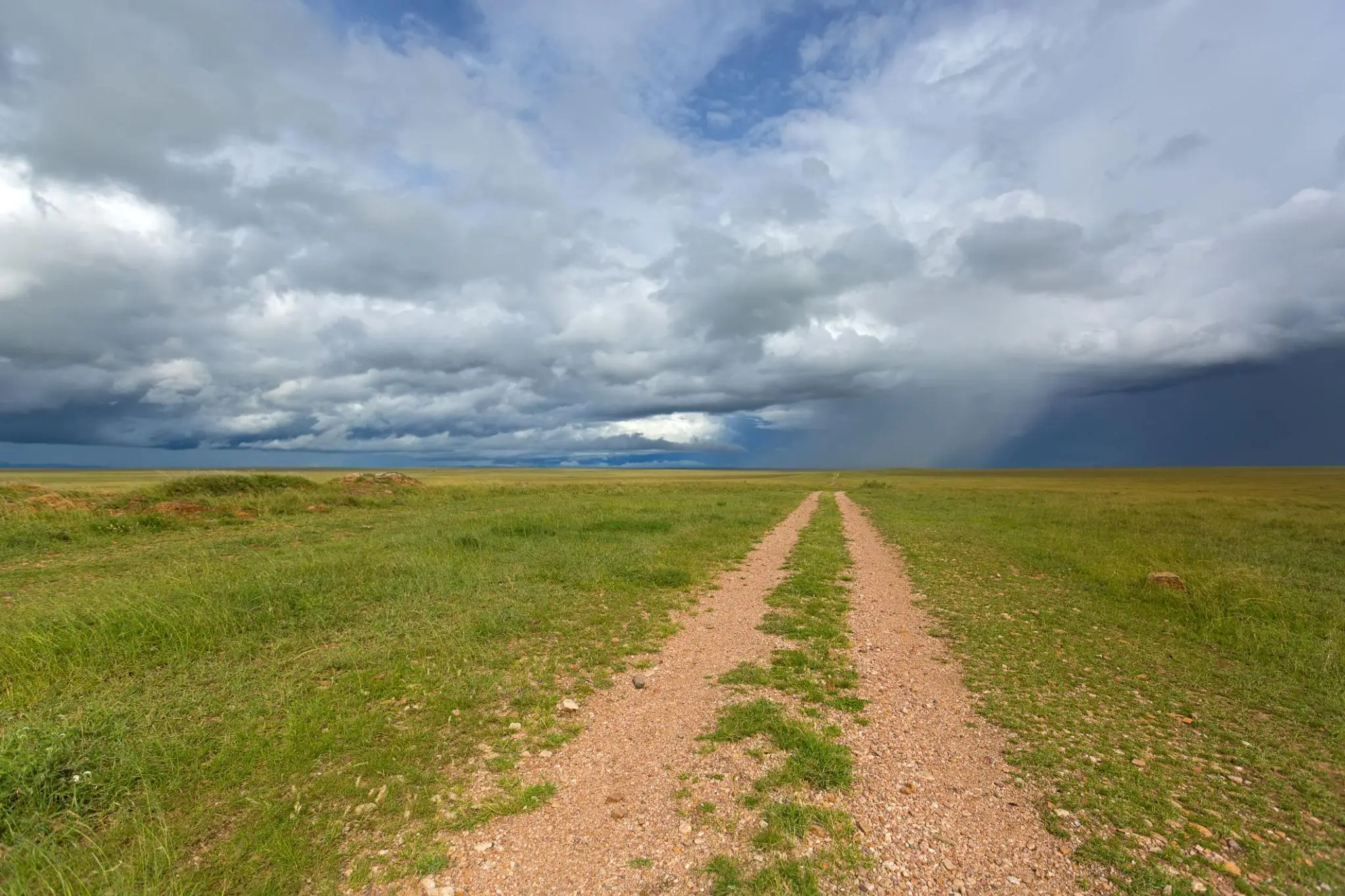 Serengeti climate guide seasons weather patterns and wildlife impact explained
