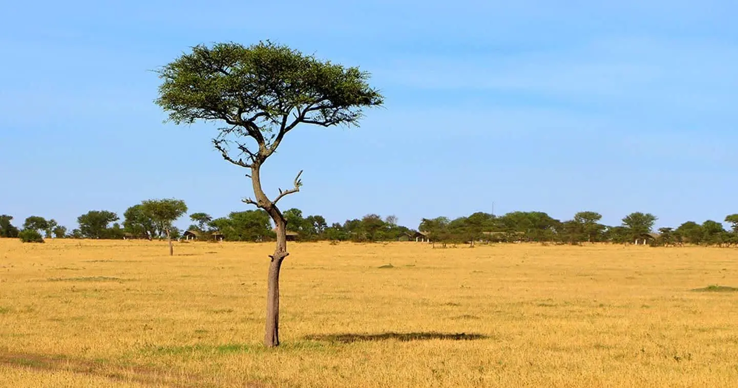 Serengeti geographic and climate overview