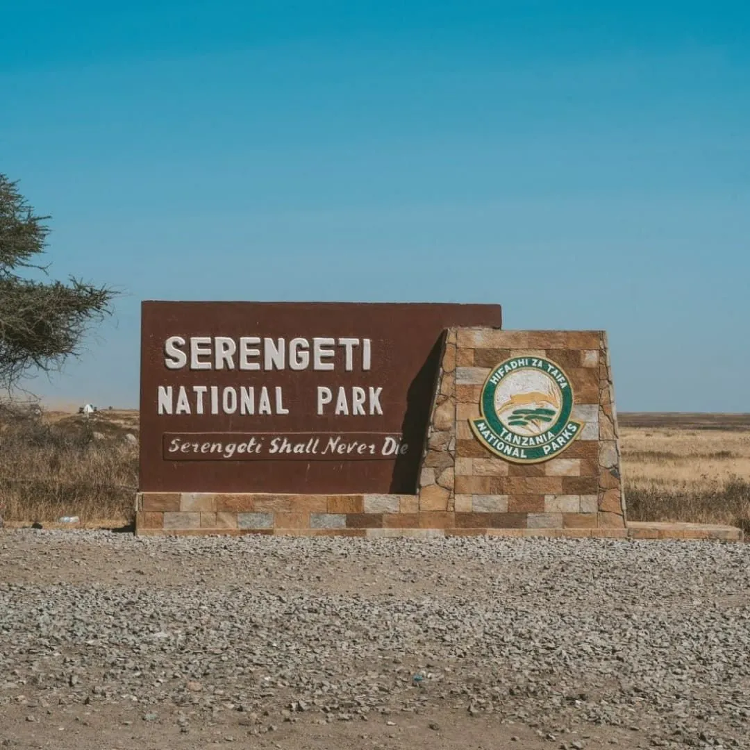 Serengeti attractions guide iconic wildlife landscapes and safari experiences