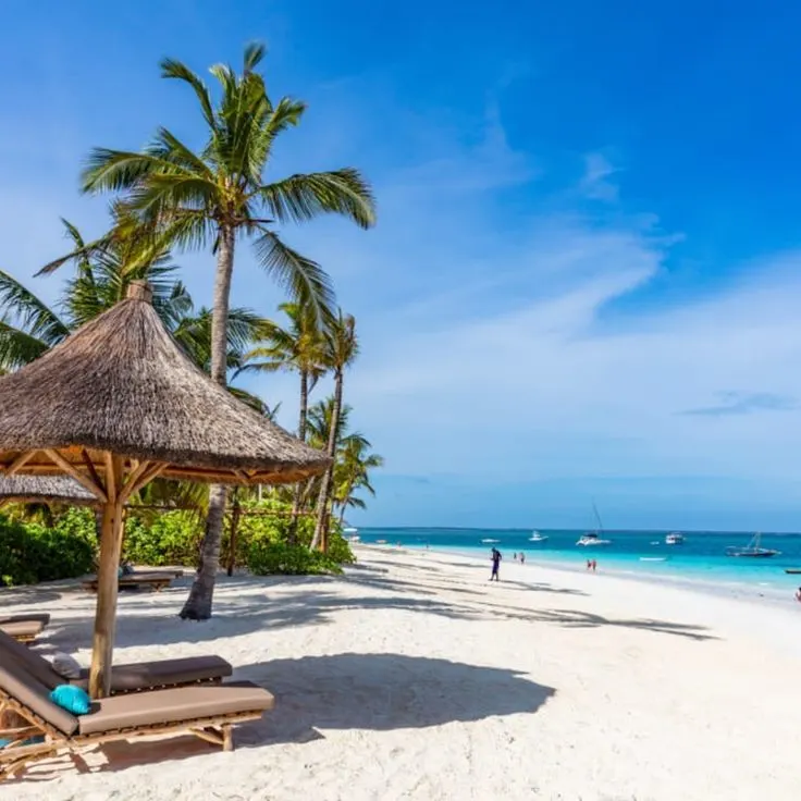 Tanzania safari and beach travel tips overview