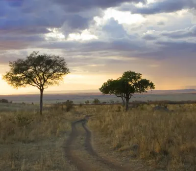 Masai Mara seasons