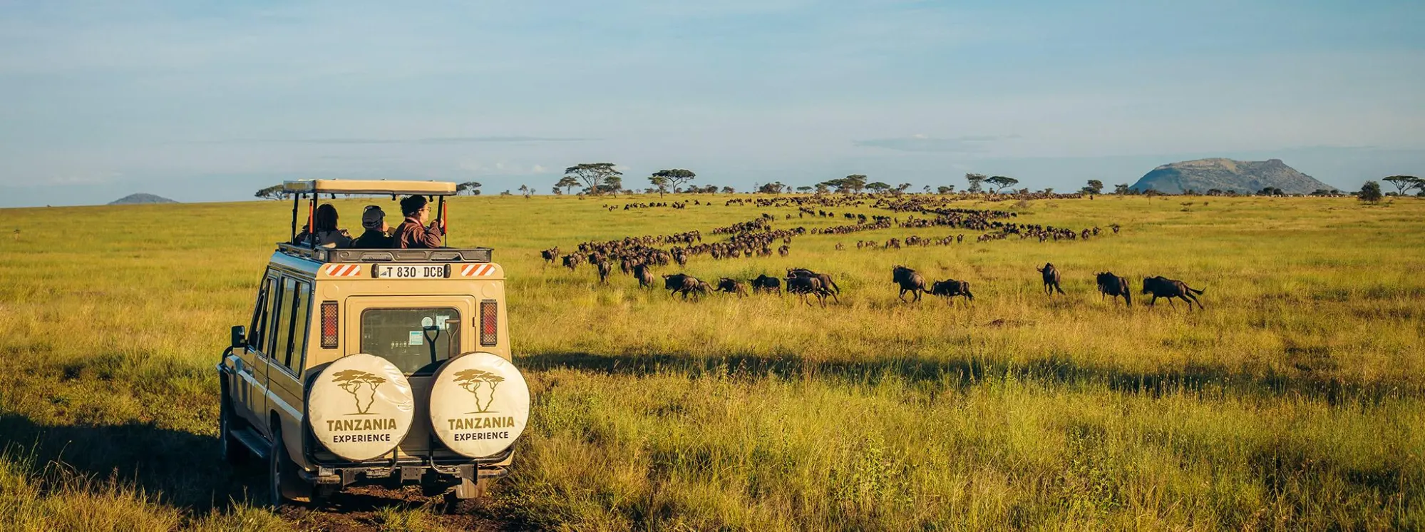 Serengeti Wild Safari